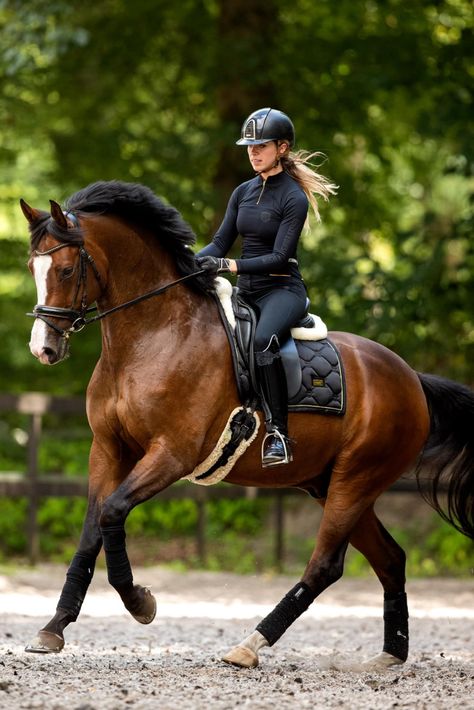 Dressage Photography, Horse Background, Horse Photography Poses, Equestrian Outfit, Horseback Riding Outfits, Show Jumping Horses, Horse Riding Outfit, Equestrian Aesthetic, Horse Riding Tips