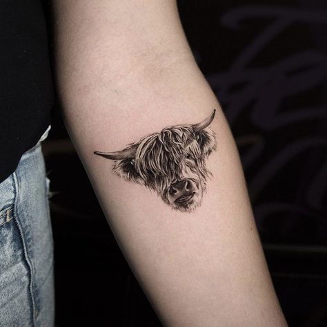 Highland Cow Tattoo Small Simple, Highland Bull Tattoo, Small Highland Cow Tattoo, Scottish Cow Tattoo, Highland Cow Tattoo Ideas, Highland Cow Tattoos For Women, Scottish Highland Cow Tattoo, Highlander Cow Tattoo, Fluffy Cow Tattoo