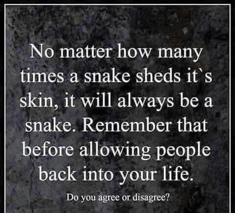 No matter how many times a snake sheds its skin, it will always be a snake Sneaky Quotes, Snakes Quotes, Sneaky People, Snake Quotes, Snake Shedding, Say That Again, A Snake, People Quotes, A Quote