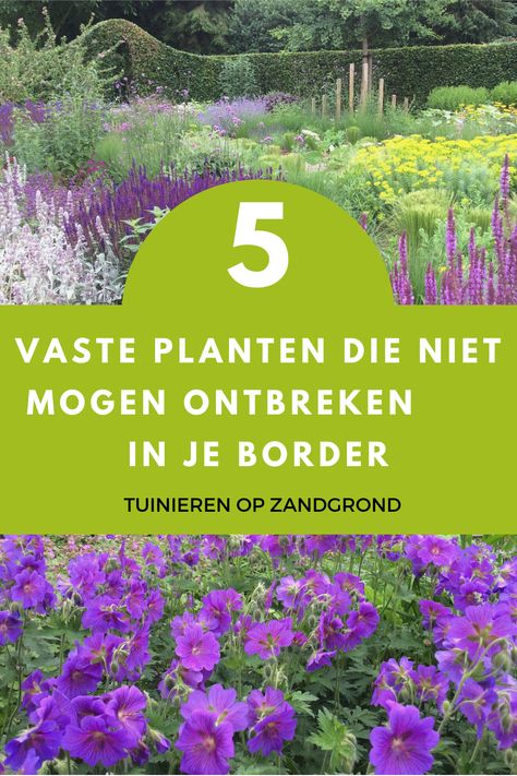 Wil je graag een mooie border van half mei tot ver in oktober? Dan mag je deze 5 soorten langbloeiende vaste planten niet missen! Deze planten geven langdurig kleur aan je bloemenborder en zorgen dat jouw tuin een echte bloementuin is. En wat nog mooier is: het is zijn uitstekende bijenplanten. Ze mogen daarom niet ontbreken in je borderbeplanting. #Bloementuin #Borderbeplanting #Tuinopzangrond #Vasteplanten #langbloeiendevasteplanten Front Porch Fence, Fence Makeover, Bulbs Garden Design, Porch Fence, Garden Design Plans, Garden Bulbs, Outdoor Flowers, Garden Landscape Design, White Gardens