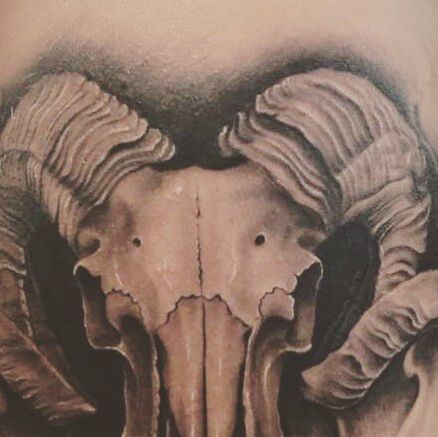 Adam Bertram on Instagram: "Started this half sleeve tonight with a ram skull! @cheyenne_tattooequipment @truetubes @silverbackink #tattoftheday #tattoos #tattooers #ink #inked #inking #ramskull #bng #wip" Ram Skeleton Tattoo, Ram Skeleton, Skull Shoulder Tattoo, Stomach Tattoo, Skeleton Tattoo, Ram Skull, Aries Tattoo, Skeleton Tattoos, Stomach Tattoos