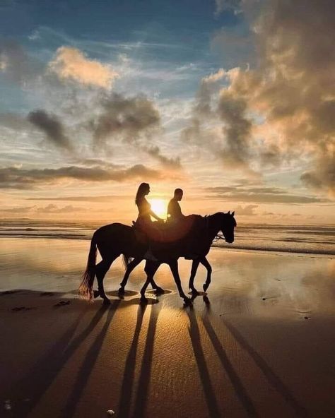 Best Photo Ideas, Beach Wedding Pics, Horse Couple, Horse Photography Poses, Couple Photo Ideas, Loving Couples, Cute Horse Pictures, Wedding Photoshoot Props, Beautiful Arabian Horses