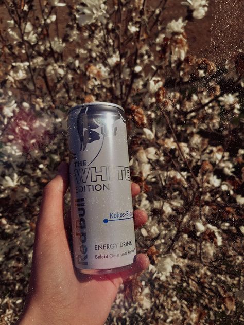 flower, red bull, energy, vibe Redbull White, Redbull Aesthetic, Red Bull Drinks, Life Aesthetic, White Flower, Energy Drink Can, Red Bull, White Flowers, Beverage Can