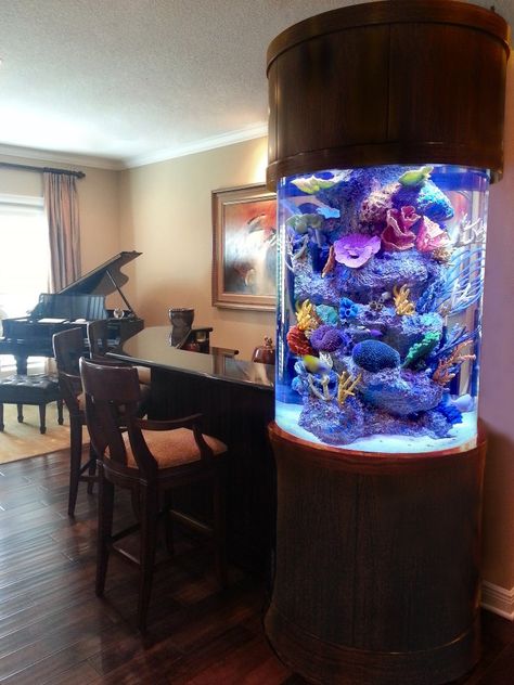 This custom cylinder aquarium is built into a bar surround.  The tank is viewable from all sides and houses a handcrafted artificial reef insert.  View all of our portfolio pictures at www.aquatic-perfection.com Saltwater Tank Setup, Aquarium Themes, Amazing Fish Tanks, Interior Pillars, Room Aquarium, Salt Water Tanks, Salt Water Fish Tank, Cool Aquariums, Saltwater Fish Tank