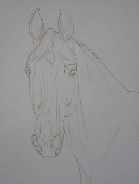 Cute Horse Drawing, Horse Face Drawing, Horse Drawing Tutorial, Horse Head Drawing, Realistic Animal Drawings, Drawing Kawaii, Horse Art Drawing, Cai Sălbatici, Desen Realist