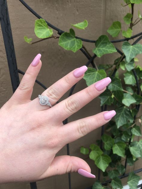 Dnd Lavender Dream, Nails Dnd, Dream Nails, Makeup Nails, Cute Nails, Nail Inspo, Class Ring, Diva, Lavender