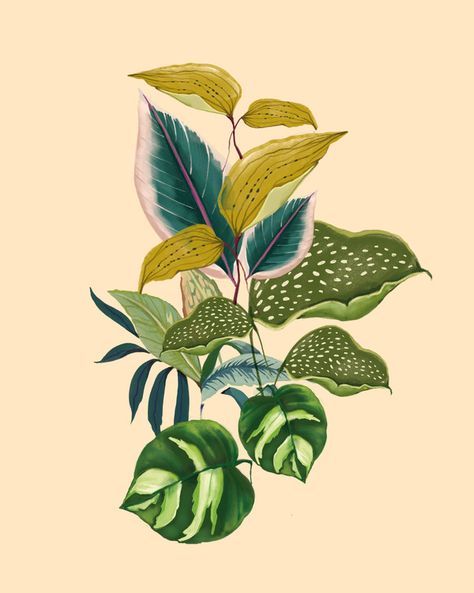 Art | Artfully Walls Watercolor Flower Prints, Watercolour Flower, Wild Berries, Seed Heads, Artfully Walls, Flamingo Art, Tropical Foliage, Geometric Art Prints, Tropical Floral Print