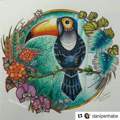 Art on Instagram: “Tucano perfeito by @danipenhabe with @repostapp Tucano do Magical Jungle Tutorial de @alebavaresco e @rpenze Livro de…” Enchanted Jungle, Johanna Basford Magical Jungle, Magic Jungle, Magical Jungle Johanna Basford, Johanna Basford Books, Forest Coloring Book, Enchanted Forest Coloring Book, Joanna Basford Coloring, Enchanted Forest Coloring