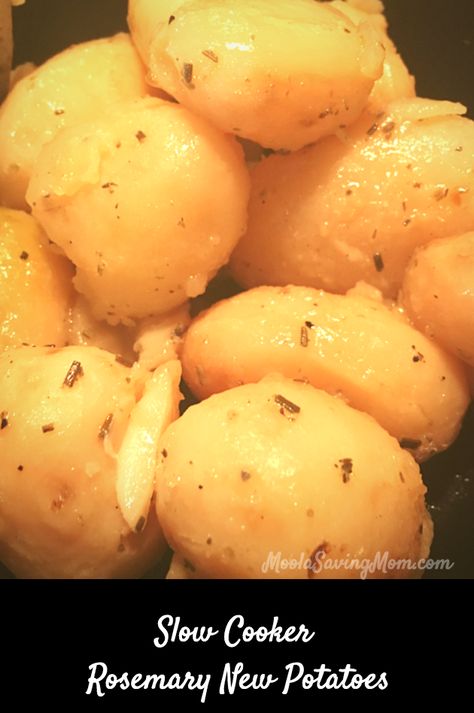 I am not a big fan of new potatoes.  I like my potatoes light and fluffy – like mashed potatoes with heavy cream or baked potatoes. But I had several cans of these in my pantry and they needed to be used so I decided to try and see how it turned out.  If … Crockpot Canned Potatoes, Canned Whole Potatoes Recipes, Mashed Potatoes With Heavy Cream, Potatoes With Heavy Cream, Crockpot Veggies, Crockpot Foods, Canned Potatoes, Crock Pot Potatoes, Recipes Vegetables