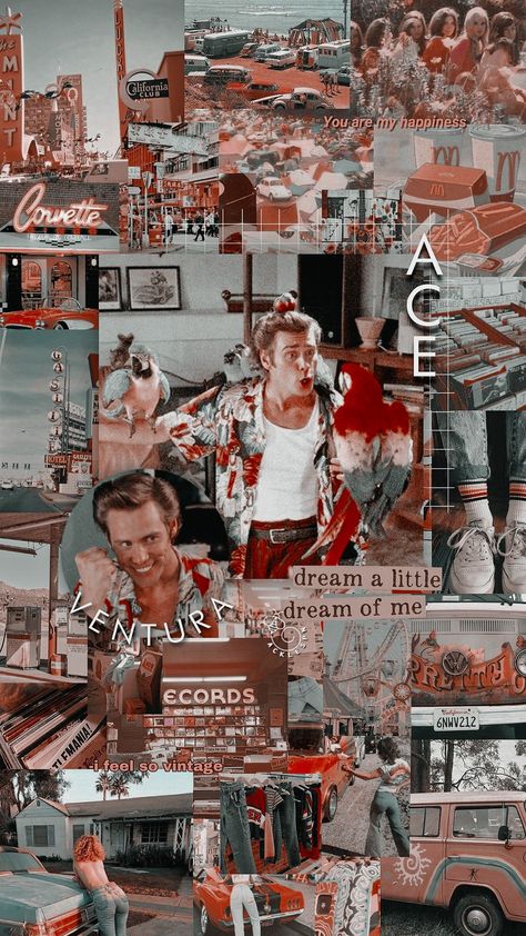 Ace Ventura Wallpaper, Jim Carrey Wallpaper, Jim Carrey Liar Liar, Jim Carrey Quotes, Nice Wallpapers, Ace Ventura Pet Detective, Movie Cosplay, Pet Detective, Ace Ventura