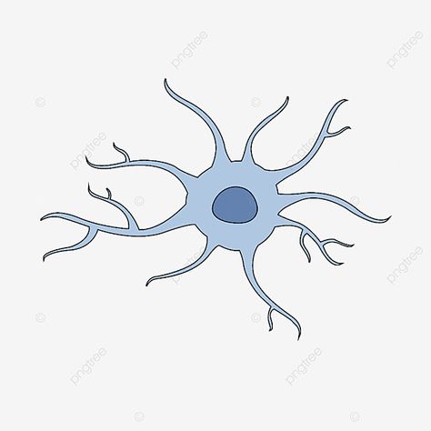 Medicine Illustration, J Words, Intervertebral Disc, Neurology, Traditional Chinese Medicine, Chinese Medicine, Nerve, Hd Images, Free Vector Graphics