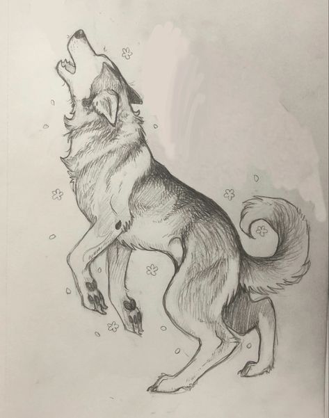 Sketch of a tattoo design of my doggo Wolf Drawing Sketch Simple, How To Draw Husky, Background Art Ideas Simple, Wolf Couple Drawing, Husky Drawing Sketches, Dog Drawing Husky, Husky Drawing Easy, Eagle Art Draw, Shepard Tattoo