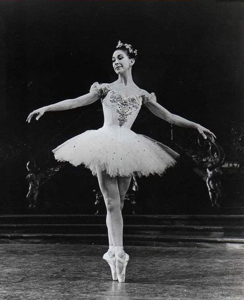 Famous Ballet Dancers, Maria Tallchief, Sleeping Beauty Ballet, Famous Ballets, Ballet Images, Margot Fonteyn, Ballet Pictures, Rudolf Nureyev, Vintage Ballet