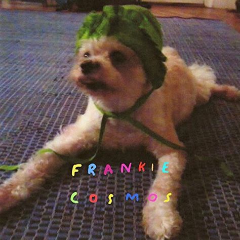 Frankie Cosmos - Zentropy - Amazon.com Music (VINYL) Anti Folk, Frankie Cosmos, Fireman Birthday, Genre Labels, Birthday Songs, Studio Recording, Indie Pop, Pop Songs, She Song