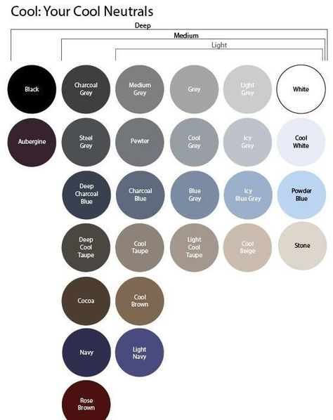 Cool Winter Men Palette, Cool Neutrals Color Palette, Cool Toned Outfits, Cool Winter Color Palette Outfits, Cool Toned Color Palette, True Winter Palette, Color Analysis Winter, Wardrobe Color Guide, Cool Summer Palette