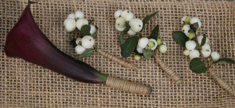 Example of purple calla wrapped with twine  -  Similar to jute wrap.     (lavender instead of white snowberries) Halycon House, Groom Boutonniere Calla Lily, Hyacinth Boutonniere, Heather Button Holes Wedding, Bachelor Button Boutonniere, Bells Of Ireland Boutonniere, Halcyon House, Solomons Seal, Calla Lily