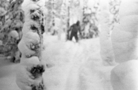 10 Chilling Theories Regarding The Dyatlov Pass Incident - Listverse Dyatlov Pass, Mysterious Places On Earth, Skunk Ape, Sasquatch Sightings, Lizard Man, Trail Cam, Bigfoot Sightings, Abominable Snowman, Bigfoot Sasquatch