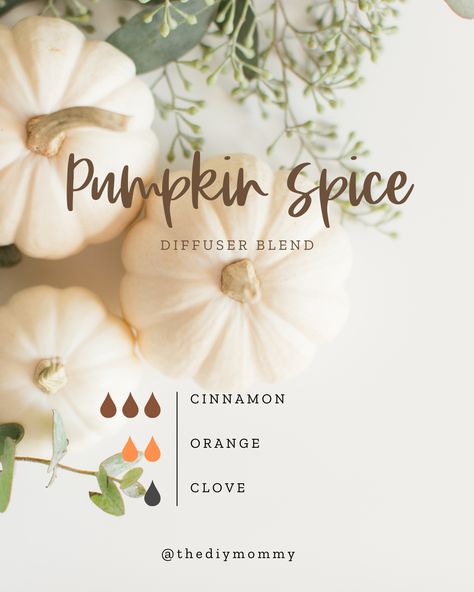 Essential Oils for Fall: Best Diffuser Blend Recipes | The DIY Mommy Essential Oil Candle Blends, Fall Essential Oil Blends, Best Diffuser, Fall Essential Oils, Fall Diffuser Blends, Essential Oil Combinations, Fragrance Oil Blends, Recipe Pumpkin, Essential Oil Safety