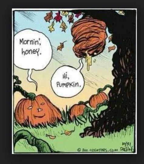 Morning pumpkin. Hi honey. Holiday Jokes, Halloween Jokes, Bibliotheque Design, Halloween Memes, Fall Images, Halloween Quotes, Halloween Cartoons, Theme Halloween, Holiday Humor