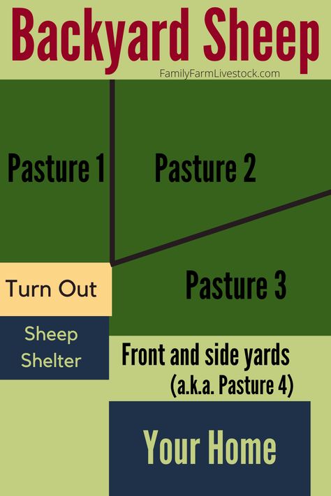 Sheep Shelter, Sheep Fence, Diy Pole Barn, Livestock Shelter, Barn Layout, Cattle Panels, Raising Farm Animals, Animals Information, Farm Layout