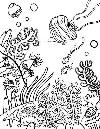 Great barrier reef colouring Simple Coral Reef Drawing, Coral Reef Drawing, Coral Reef Color, Sea Drawing, Fish Coloring Page, Preschool Class, Lion Fish, New 52, Diy Spring