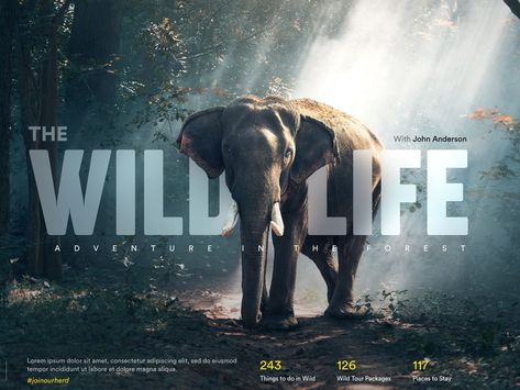 Wild Life - Landing Page by Abhishek Prakash ✪ on Dribbble Travel Magazine Design, Login Page Design, Hotel Ads, Digital Advertising Design, Adobe Photoshop Design, Digital Banners, Wild Photography, Photoshop Design Ideas, Creative Advertising Design