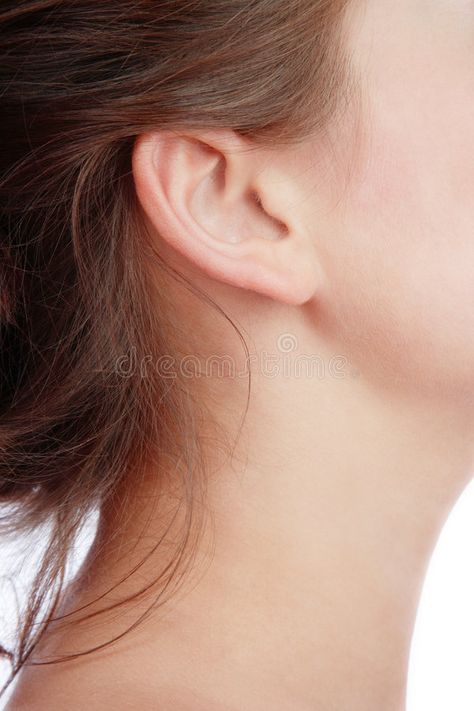 Healthy Female, Ear Picture, Facial Anatomy, Human Ear, Ear Art, Character Poses, Art Challenge, Model Photos, Young Woman