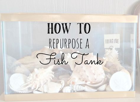 Repurposed Fish Tank Old Fish Tank Ideas, Repurposed Fish Tank, Shabby Chic Living Room Ideas, Chic Living Room Ideas, Recycled Containers, Shabby Chic Salon, Large Terrarium, Shabby Chic Office, Diy Fish Tank