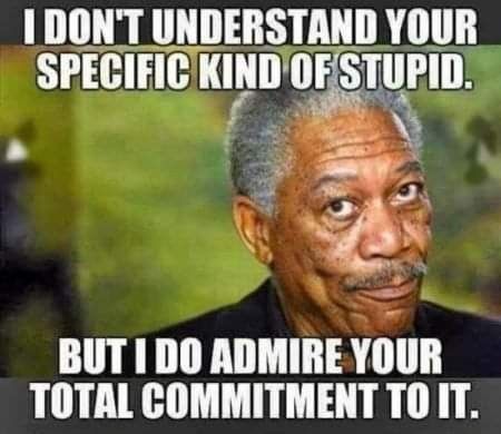 "I don't understand your specific kind of stupid! 🤨 ,, but I do admire your total commitment to it!!"🤔 🤣 Witty Memes, Sarcastic People, Funny Quotes Sarcasm, Memes Sarcastic, Sarcastic Quotes Funny, Funny Sarcastic, Badass Quotes, Twisted Humor, Funny Words