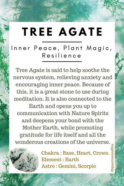 Tree Agate Properties, Tree Agate Crystal Meaning, Tree Agate Meaning, Tree Agate Crystal, Gratitude For Life, Crystals Healing Grids, Crystal Book, Best Healing Crystals, Mother Gaia