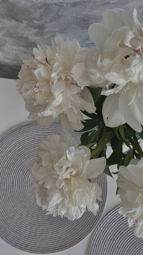 White Peony Aesthetic, Peony Aesthetic Wallpaper, White Peonies Aesthetic, Peony Aesthetic, White Peonies Bouquet, Piatra Neamt, Peony White, Phone Background Wallpaper, Flower Perfume