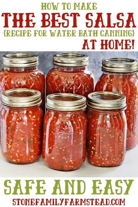 Home Made Salsa Recipe, Salsa To Can, Home Made Salsa, Canning Homemade Salsa, Canned Salsa Recipes, Salsa Canning Recipes, Best Salsa Recipe, Canning Tomatoes Recipes, Best Salsa