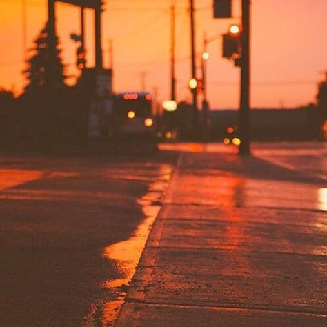 Street At Night, Have Inspiration, Rainbow Aesthetic, Orange You Glad, Orange Aesthetic, Aesthetic Colors, Jolie Photo, Red Aesthetic, Aesthetic Photo