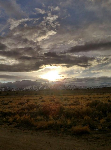 Nevada Fallon Nevada, Desert Sunrise, Nevada Desert, 2023 Art, Virginia City, Small Town Life, Carson City, Horse Sculpture, Beautiful Photography