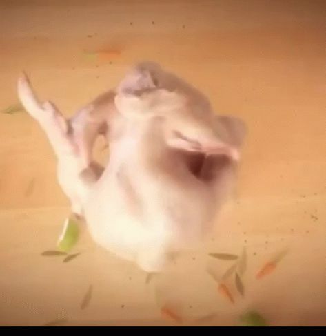 Turkey Twerkey GIF - Turkey Twerkey Twerking - Discover & Share GIFs Turkey Gif, Turkey Meme, Turkey Dance, The Perfect Turkey, Happy Thanksgiving Friends, Thanksgiving Videos, Happy Thanksgiving Images, Perfect Turkey, Thanksgiving Blessings