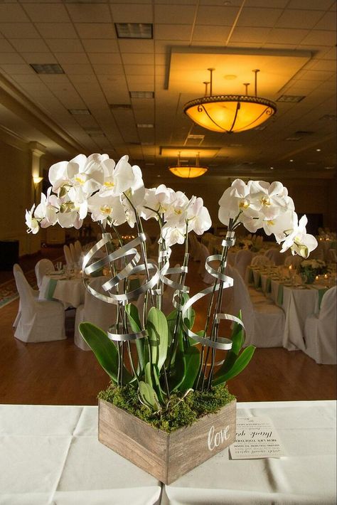 wedding floral table centerpiece Plant Table Centerpieces, Floral Decor Ideas, Wedding Floral Decor, Tropical Wedding Flowers, Plan A Wedding, Orchid Plant, Floral Trends, Orchid Wedding, Plant Table