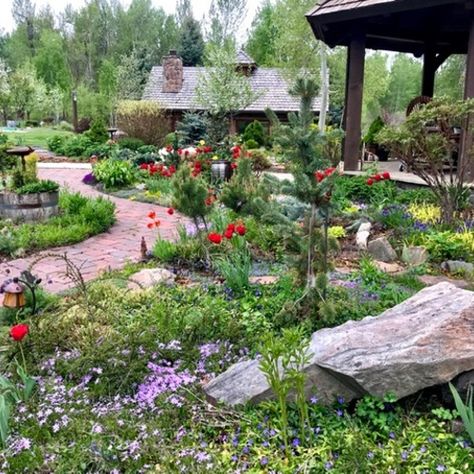 Montana Garden, Montana Living, Gardening Photos, Mountain Property, Gardening Magazine, Fine Gardening Magazine, High Country Gardens, Creeping Phlox, Natural Landscaping