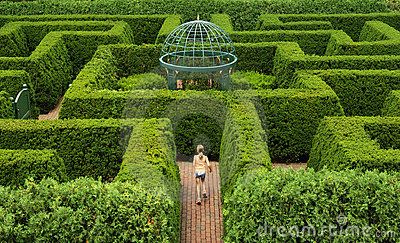 for my carosel Garden Mazes, Maze Garden, Europe Landscape, Hedge Maze, Labyrinth Garden, Garden Maze, Labyrinth Maze, Labyrinth Design, Maze Design