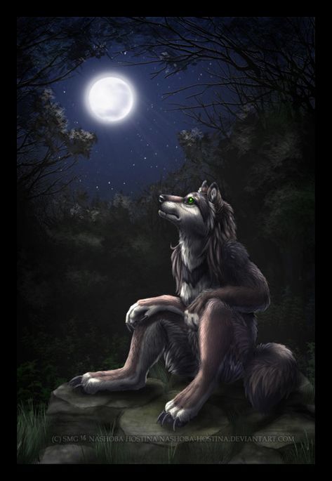 Sitting Meme, Wolf Meme, Alpha Wolf, Big Bad Wolf, Bad Wolf, Wolf Howling, On The Moon, The Moon, Moon