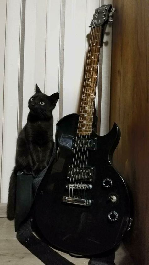 Goth Guitar Aesthetic, All Black Guitar, Electric Guitar Case Aesthetic, Remicore Aesthetic, Cats And Guitars, Female Fetale Aesthetic, Electro Guitar Aesthetic, Cat With Electric Guitar, Black Electric Guitar Aesthetic