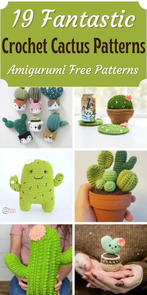 The patterns use some standard stiches, but also introduce different textured stitches that are used to create the cactus shape which can be a fun challenge for both beginners and advanced crocheters alike. There are both free and paid cacti patterns for you to choose. Cactus Amigurumi Free Pattern, Cactus Crochet Pattern Free, Crochet Cactus Pattern, Crocheted Plants, Crochet Cactus Free Pattern, Crocheted Cactus, Cactus En Crochet, Plants Crochet, Crochet Gnomes Pattern Free