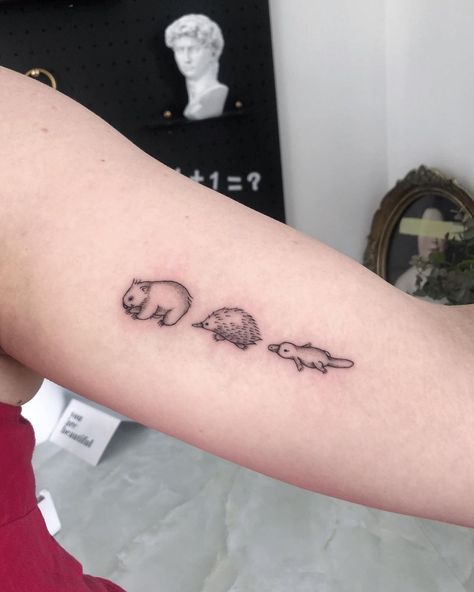 TOJI INK TATTOO東极刺青 on Instagram: “Did these cute wombat, echidnas and platypus for Kelly, thank you for coming By @feynman_tattoo . . #aussieanimals #wombat #echidna…” Echidna Tattoo, Toji Tattoo, Girlfriend Tattoos, Cute Wombat, Koala Tattoo, Australia Tattoo, Australian Tattoo, Animals Tattoo, Native Tattoos