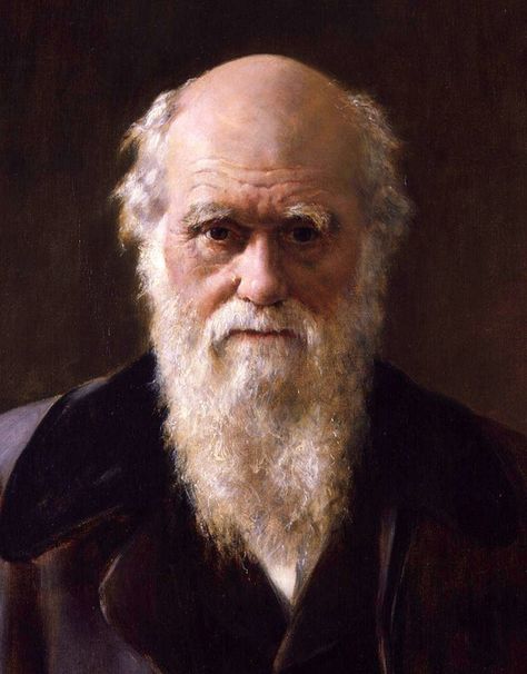 John Maler Collier, Portrait of Charles Darwin (detail), 1883. paperimages.tumblr.com Charles Darwin Quotes, Theory Of Evolution, Juan Pablo Ii, Fun Questions To Ask, Neil Armstrong, Natural Selection, Louis Armstrong, Charles Darwin, Stephen Hawking