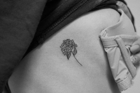 Spinal Floral Tattoo, Hydragena Tattoos, Hydrangea Tattoo Simple, Fineline Hydrangea Tattoo, Tiny Hydrangea Tattoo, Hydrangea Tattoos, Hortensia Flower Tattoo, Dainty Hydrangea Tattoo, Small Hydrangea Tattoo