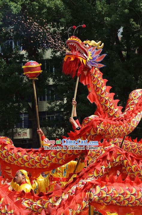 Happy Festival Celebration Dragon Dance Costumes Complete Set for Eight Adults Dragon Dance Costume, Chinese Dragon Dance, Dragon Chino, Beautiful Vietnam, Dragon Dance, Dragon Costume, Lion Dance, Japanese Dragon, Beautiful Dragon