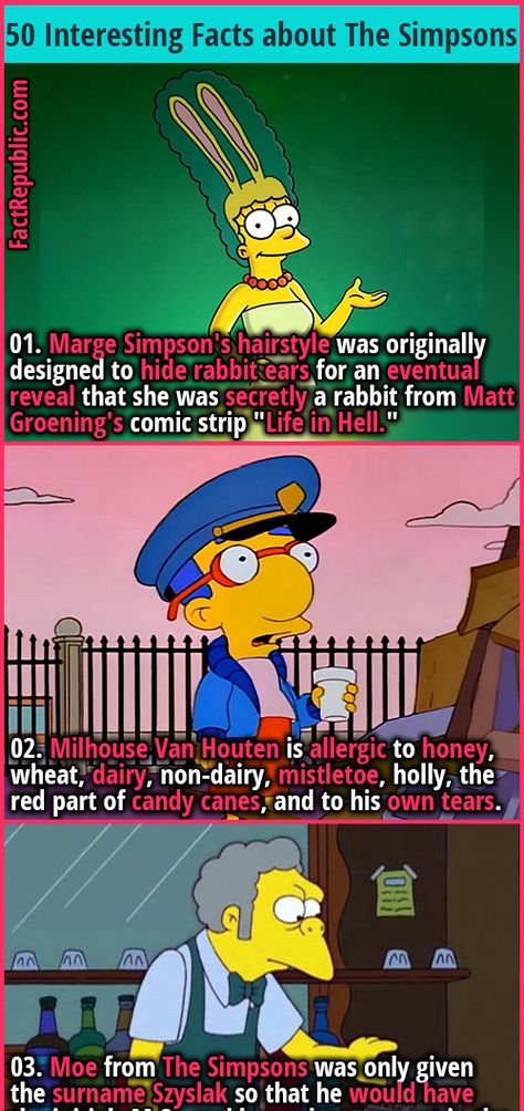 Weird Facts You Didnt Know, Random Facts Funny, The Simpsons Funny, Weird Fun Facts, Simpson Funny, Evil Cartoon Characters, Funny Weird Facts, Funny Facts Mind Blowing, Life In Hell