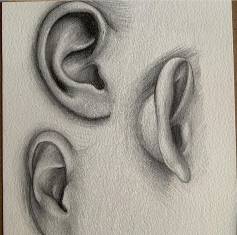 Ear Drawing Reference, Ear Sketch, Ear Shapes, Ears Drawing, Ear Drawing, Face Art Drawing, How To Draw Ears, Abstract Pencil Drawings, Ear Art