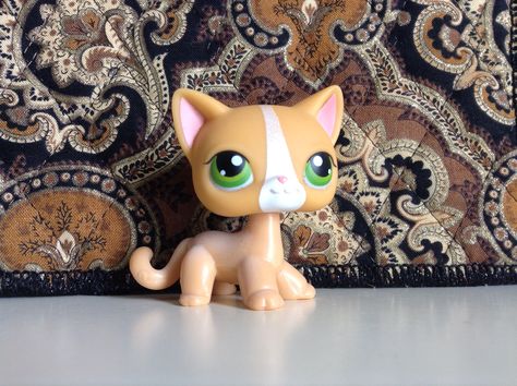 This is one of my LPS short haired cats! I got this cat from eBay for about $10.00 and it's number is LPS #72 This is also my first LPS popular character!!!!!!!!!!!! Lps Cats Short Hair, Lps List, Lps Shorthair, Lps Collection, Lps Popular, Lps Cats, Lps Custom, Lps Customs, Blonde Cat