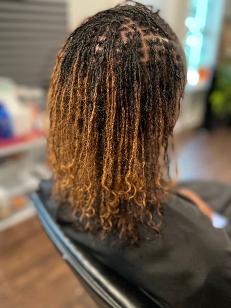 Locs #microloc #sistalocs Microlocs On Fine Hair, Medium Microlocs, Fine Locs, Microlocs Inspiration, Microloc Journey, Sister Locks Hairstyles, Locks Styles, Locks Hairstyles, Colored Locs