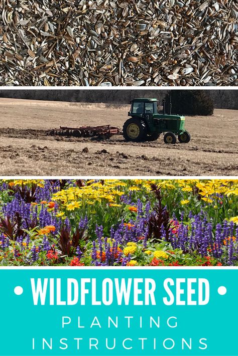 Wildflower Seeds Planting, Planting Wildflower Seeds, Plant Wildflower Seeds, Beginner Garden, Seed Drill, Seed Planting, Building Raised Garden Beds, Dry Sand, How To Shade